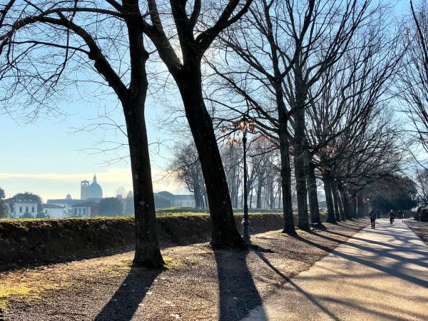 My Search to Discover Why Everyone Loves Lucca, Italy